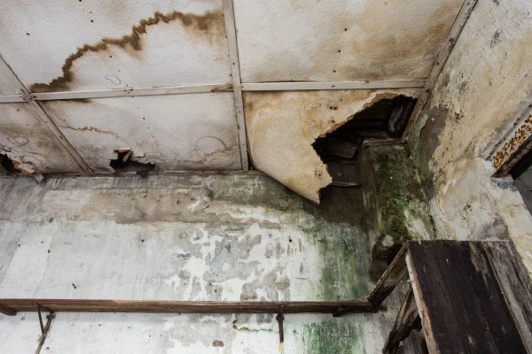 Water Damage Service in Holland