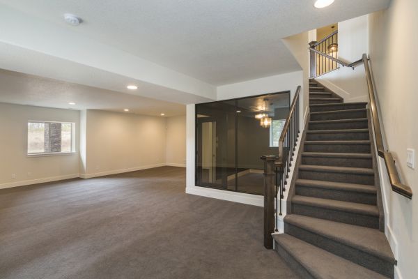 Basement Restoration Service in Holland