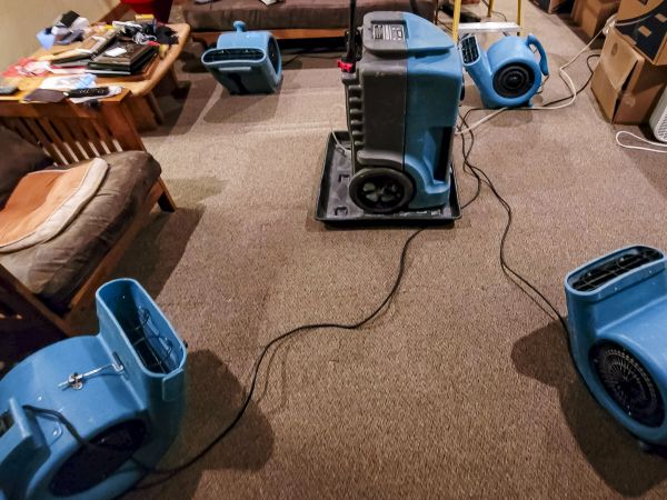 Flood Damage Recovery in Holland