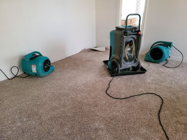 Flood Damage Repair in Holland