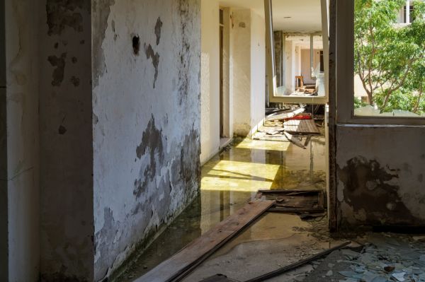 Water Removal Service in Holland