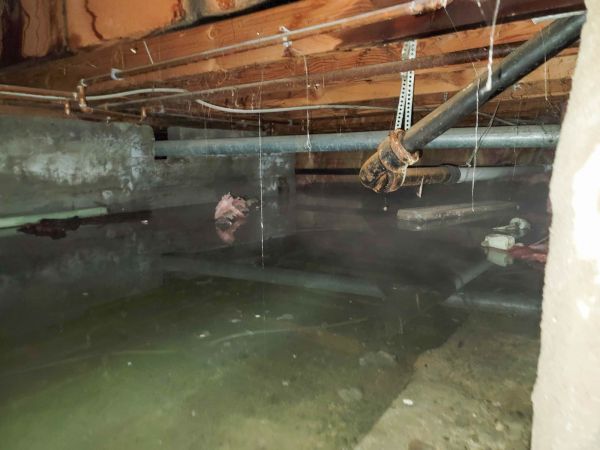 Cost of Water Mitigation Service in Holland