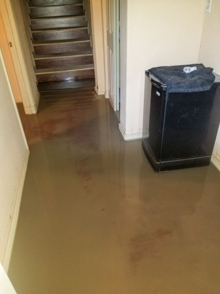 Emergency Water Removal in Holland