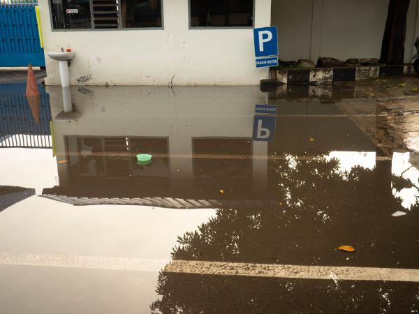 Storm Damage Repair in Holland