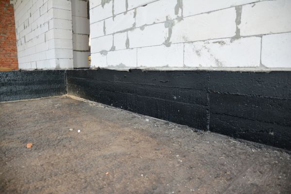 Basement Water Damage Service in Holland