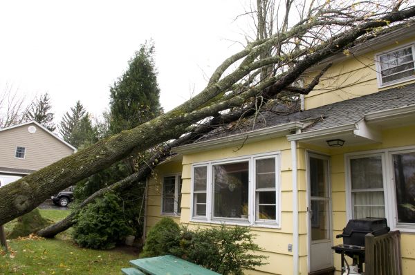 Storm Damage Mitigation in Holland